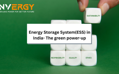 Energy Storage System(ESS) in India- The green power-up