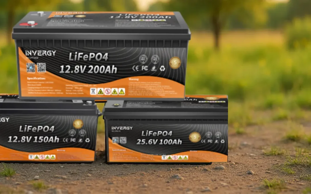 Factors That Influence LFP Battery Price